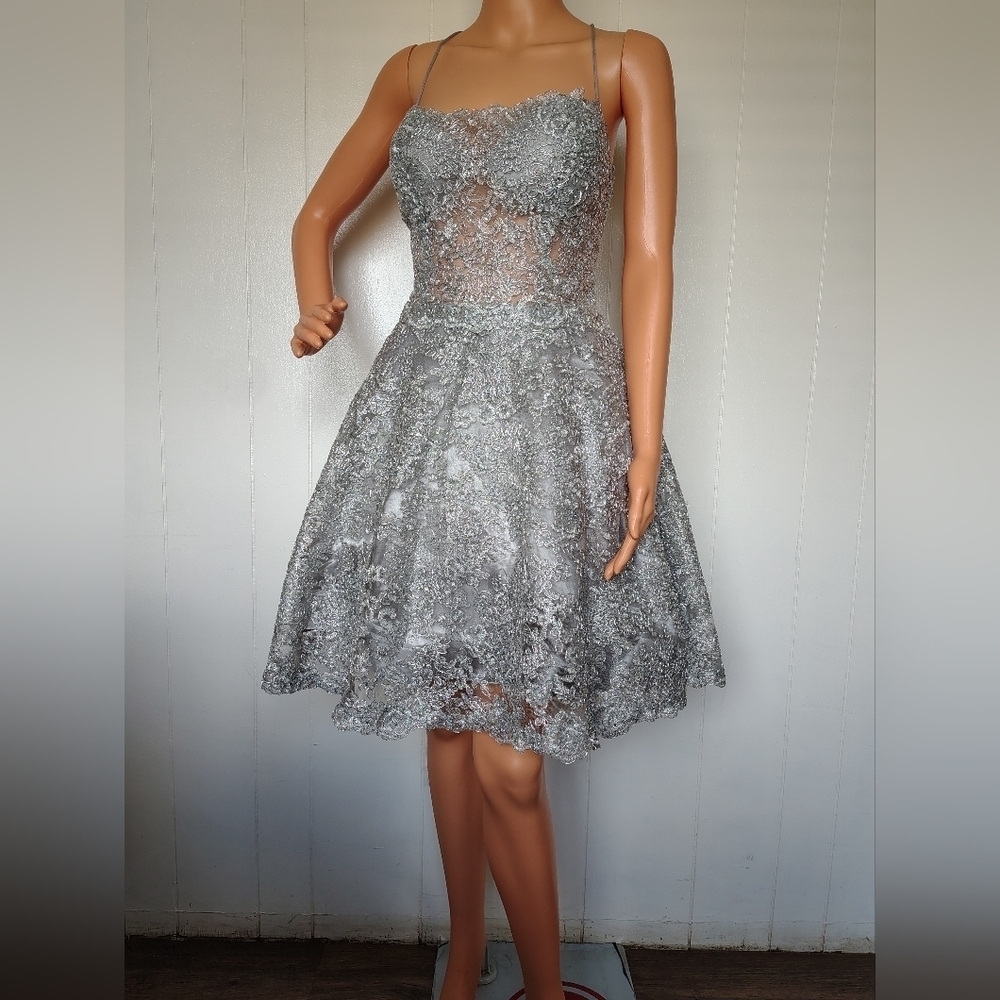 Royal Queen Elegant Silver Lace Dress Size 10
